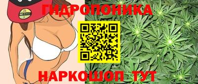 герыч Будённовск